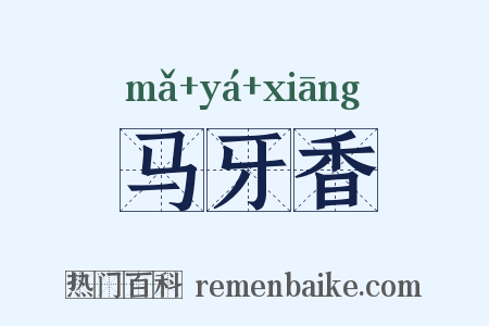 马牙香是什么意思的图片